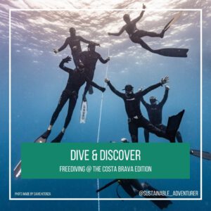 Dive and Discover