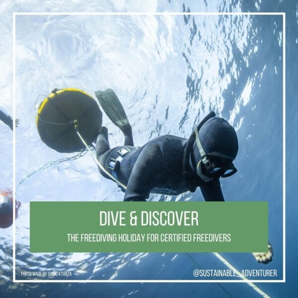 Dive and Discover, the freediving holiday for certified freedivers