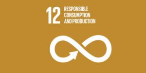 Sustainable Development Goals 12