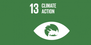 Sustainable Development Goals 13