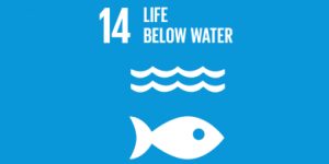 Sustainable Development Goals 14