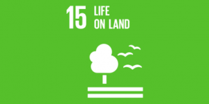 Sustainable Development Goals 15