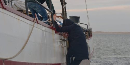 Weekend Terschelling inclusief boot Droogvallen en wadlopen